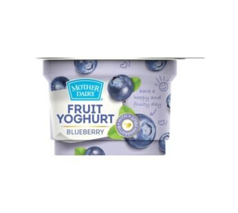 Mother Dairy Blueberry Flavoured Yogurt 100 g